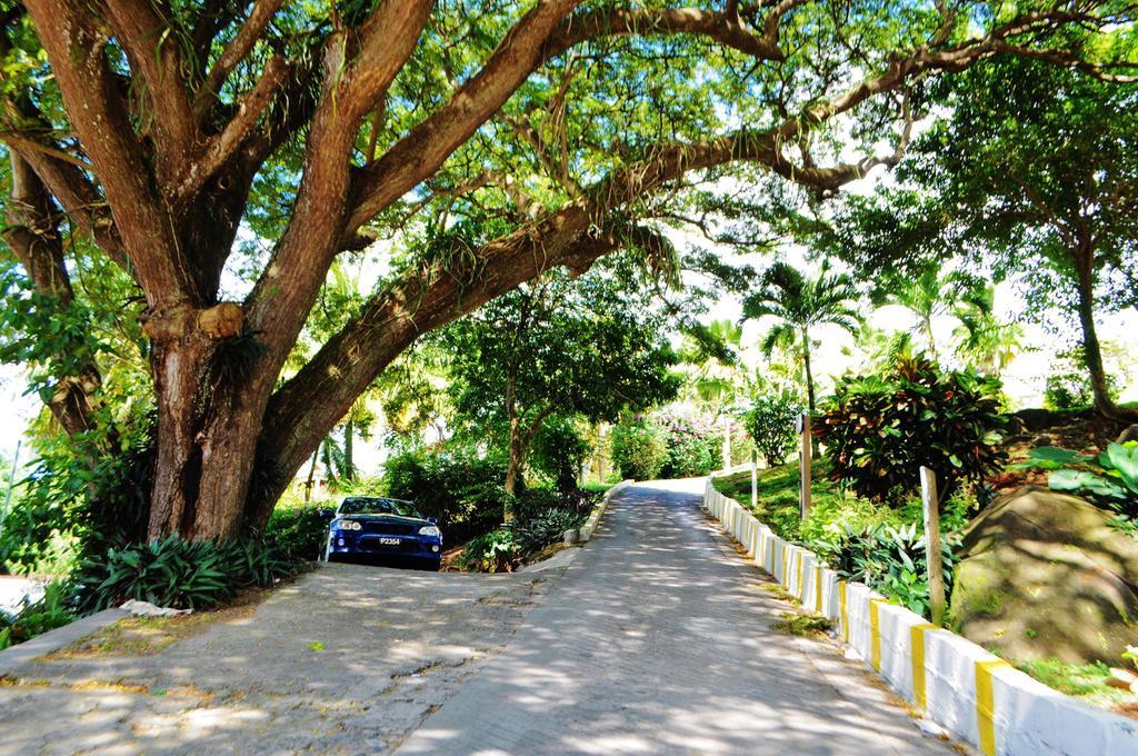Blue Lagoon Hotel And Marina Ltd Kingstown Exterior foto