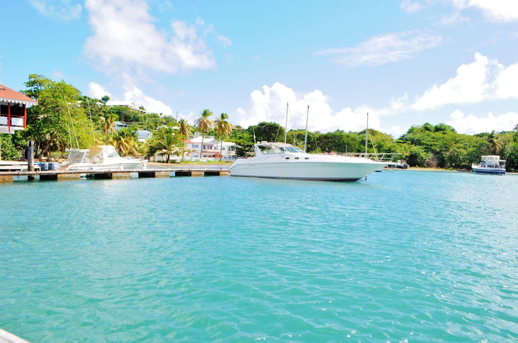 Blue Lagoon Hotel And Marina Ltd Kingstown Exterior foto